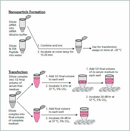 Nanoparticle formation