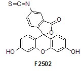 Labeling and staining reagents schema - F2502. Labeling and staining reagents schema - F2502.