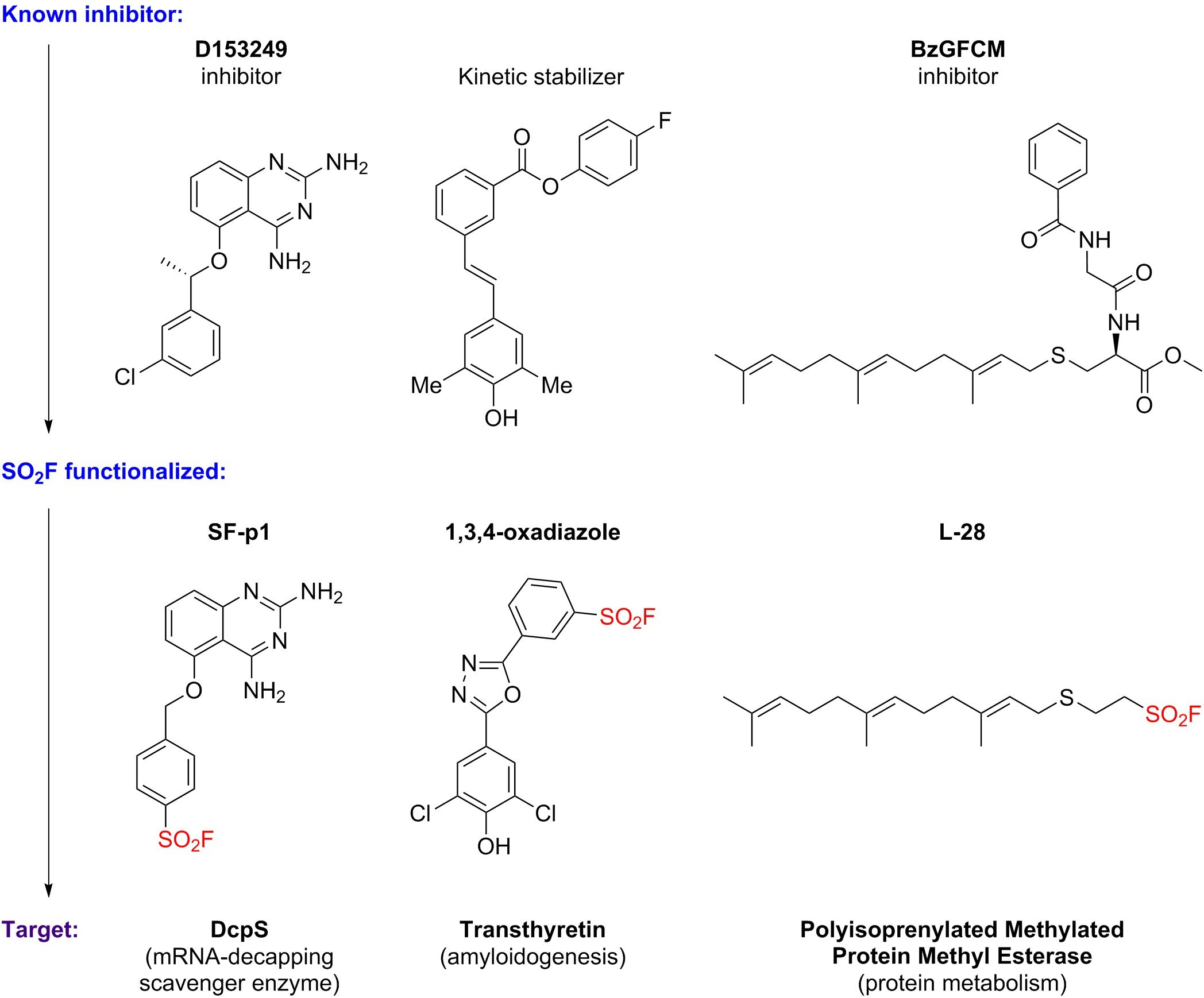 chem bio molecules chem bio molecules
