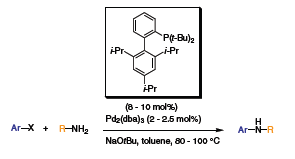 arylation-pyridines arylation pyridines