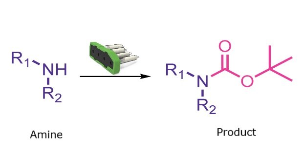 Boc protection reaction scheme Reaction scheme showing conversion of a free amine into its Boc-protected carbamate derivative.