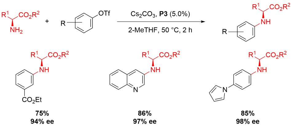Amino Acid Ester Arylation Reaction scheme showing the arylation of an amino acid ester using P3 precatalyst from Table 1
