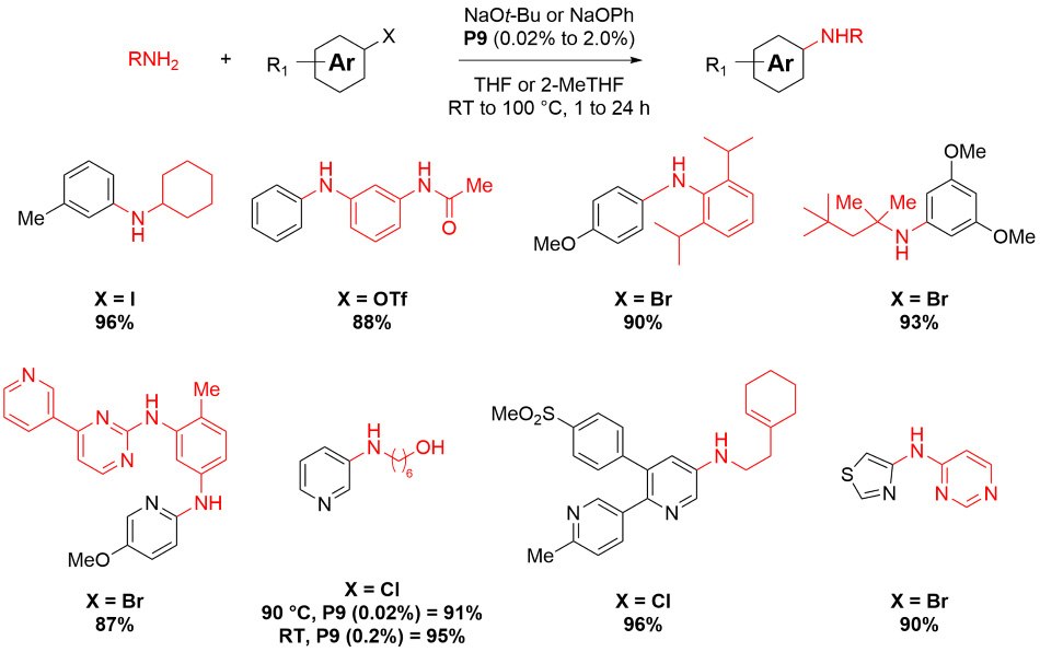 Buchwald-Hartwig Amination Reaction scheme showing a Buchwald-Hartwig amination using P9 precatalyst from Table 1 with different X groups including I, OTf, Br, and Cl on different Ar-R1