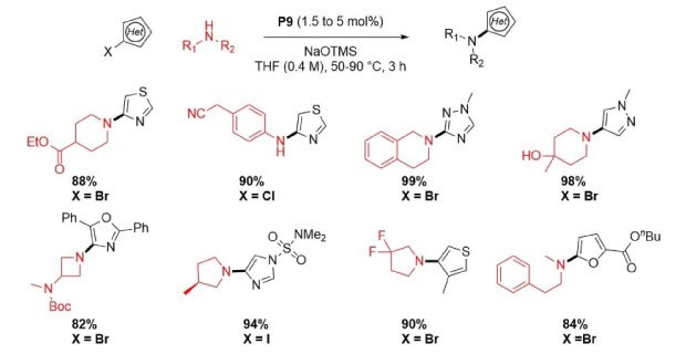Buchwald-Hartwig amination of base-sensitive five-membered heteroaryl halides and aliphatic amines Reaction scheme showing a Buchwald Hartwig amination of base sensitive five-membered heteroaryl halides and aliphatic amines using P9 precatalyst from Table 1 with different X groups including Br, Cl, and I on different heteroaryl-X