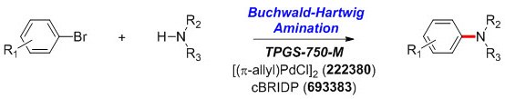 buchwald-hartwig-amination-reaction Buchwald-Hartwig Amination Reaction