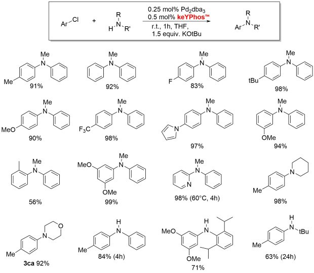 Buchwald-Hartwig amination with keYPhos™ A reaction scheme illustrating the coupling of an aryl chloride (ArCl) with an amine (H2N-R') using 0.25 mol% Pd2(dba)3 and 0.5 mol% keYPhos in THF at room temperature for 1 hour, with 1.5 equivalents of KOtBu. Below the reaction, various products are shown, each with their respective yields indicated as percentages. The structures include different substituents on the aromatic rings, such as methyl (Me), fluoro (F), trifluoromethyl (F3C), methoxy (MeO), and tert-butyl (tBu). The yields range from 56% to 99%.