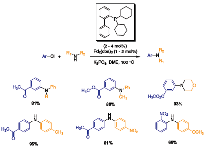 di-tert-butyl di tert butyl