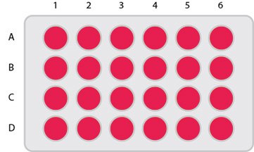 KitAlysis™-CN 24 Well Plate KitAlysis™ C-N Well Plate
