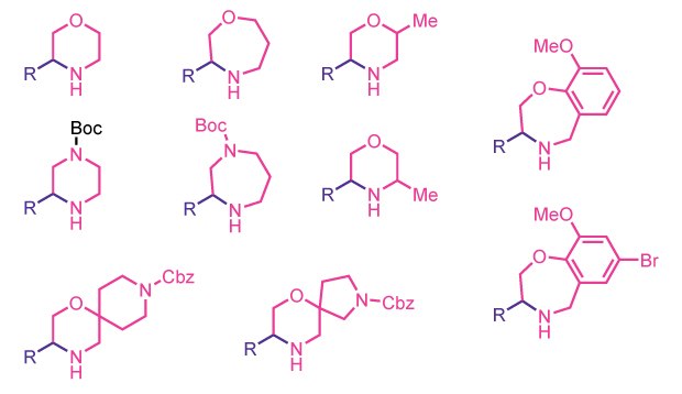 N-heterocycle examples Collection of various N-heterocycle structures including Boc-, Cbz-, and substituted cyclic amine derivatives.
