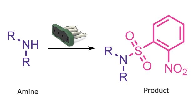 Nosyl protection reaction scheme Reaction converting a secondary amine into its nosyl-protected sulfonamide derivative.
