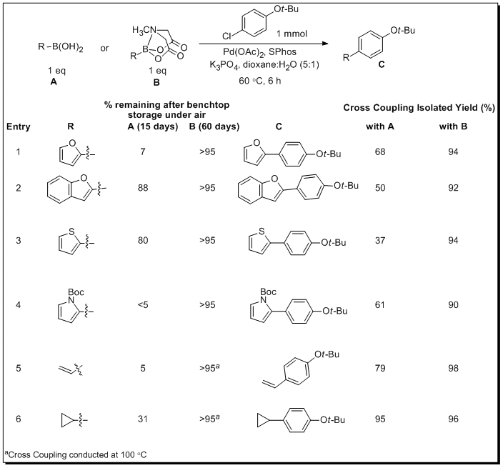 Comparison of Benchtop Stability and Coupling Efficiency of Boronic Acids and MIDA Boronates Comparison of Benchtop Stability and Coupling Efficiency of Boronic Acids and MIDA Boronates