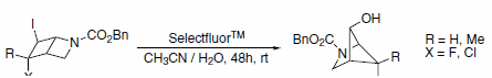 rearrangement of iodides rearrangement of iodides