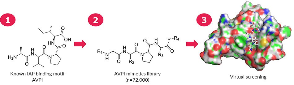 Interaction between AVPF and 4LGE A 168-member mimetics focused library based on AVPI was assembled for virtual screening. On the right is shown the interaction between AVPF and 4LGE.