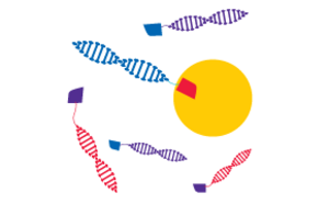Step 2, Isolate of DNA-encoded library main stages Step 2 A graphic showing the second stage of setting up a DNA-encoded library called Isolate, during which the target is immobilized on a bead followed by screening the entire library at once and then washing away all the compounds that did not bind.
