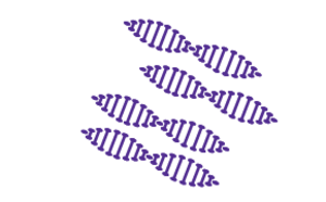 Step 3 Amplify and Sequence of DNA-encoded library main stages A graphic showing the third stage of setting up a DNA-encoded library called Amplify and Sequence, during which the hits are isolated, the DNA is amplified with PCR and the DNA code is then sequenced.