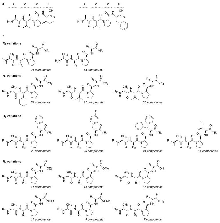 Structures of AVPI and AVPF Structure of AVPI and AVPF