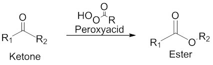 A chemical reaction diagram showing the conversion of a ketone (left) to an ester (right) using a peroxyacid (center). The ketone is represented with a carbonyl group (C=O) and two substituents (R1 and R2). The peroxyacid is shown with a peroxide linkage (–O–O–) and a hydroxyl group (–OH). The resulting ester is depicted with a carbonyl group and an ether linkage (–O–) connected to R1 and R2. A chemical reaction diagram showing the conversion of a ketone (left) to an ester (right) using a peroxyacid (center). The ketone is represented with a carbonyl group (C=O) and two substituents (R1 and R2). The peroxyacid is shown with a peroxide linkage (–O–O–) and a hydroxyl group (–OH). The resulting ester is depicted with a carbonyl group and an ether linkage (–O–) connected to R1 and R2.