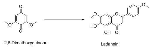 Dimethoxyquinone Dimethoxyquinone