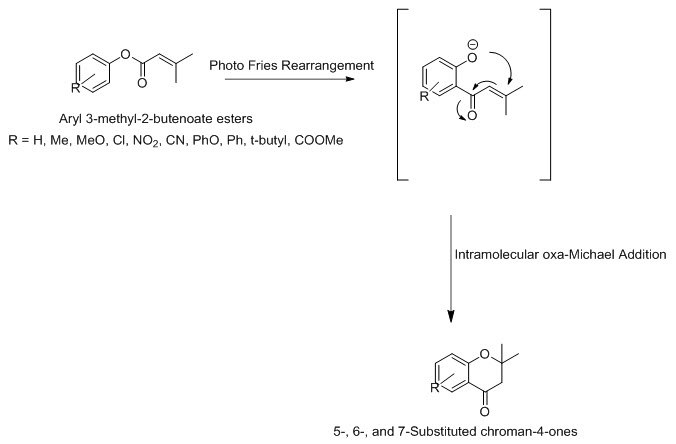 Oxa Michael Addition Reaction Oxa Michael Addition Reaction