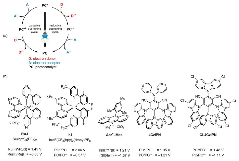 Single-Electron Transfer (SET) Mechanism and Popular Oxidizer Photocatalysts Top is the cycle representing the Single-Electron Transfer (SET) Mechanism of photoredox catalysis and below are the chemicals structures of popular oxidizer photocatalysts (from left to right), Ru(bpz)3(PF6)2, Ir(dF(CF3)ppy)2(dtbpy)PF6, Fukuzumi’s acridinium salt (Acr+–Mes), 4CzIPN, and Cl-4CzIPN