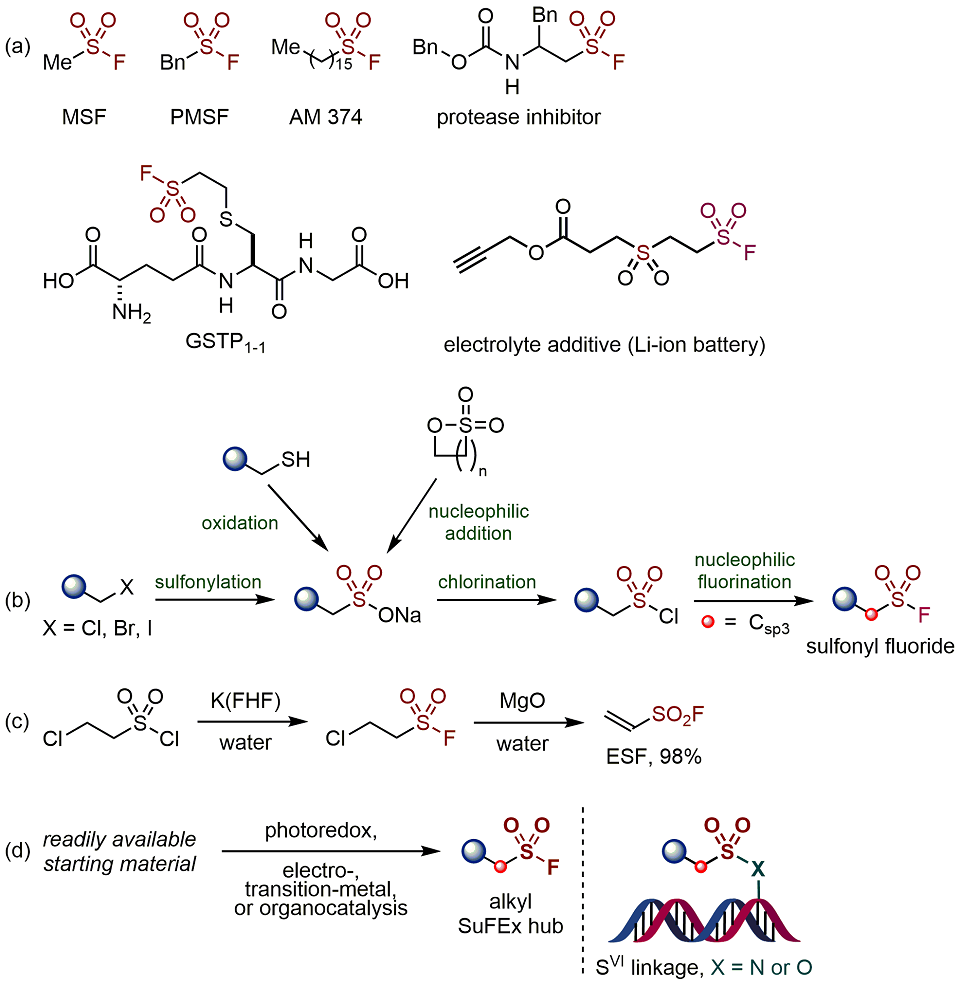 (a) Chemical Structures of Representative Biologically Active Alkylsulfonyl Fluorides. (b) Conventional Methods Used for the Synthesis of Alkylsulfonyl Fluorides. (c) Sharpless’s Kilogram- Scale Synthesis of ESF. (d) Catalytic Synthetic Methods Chemical Structures of Six Representative Biologically Active Alkylsulfonyl Fluorides, Conventional Methods Used for the Synthesis of Alkylsulfonyl Fluorides, Sharpless’s Kilogram- Scale Synthesis of ESF, and Catalytic Synthetic Methods