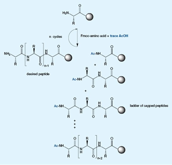 Purer Fmocs Means Purer Peptides Methods for quantitation of acetic acid