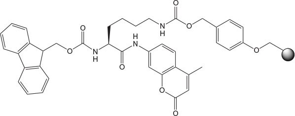 carbamate-wang-resin Chemical structure of Fmoc-Lys(carbamate Wang resin)-AMC