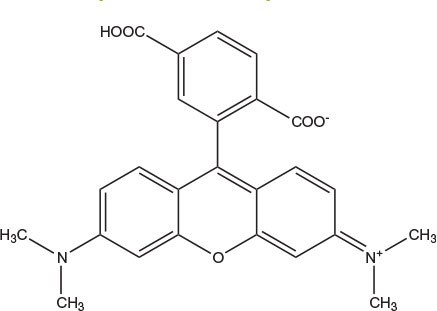 carboxytetramethylrhodamine Chemical structure of 6-Carboxytetramethylrhodamine