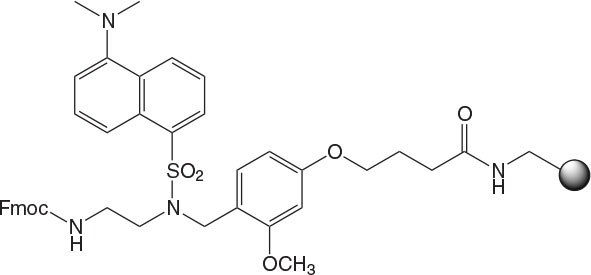 dansyl-novatag Chemical structure of Dansyl NovaTag™ resin