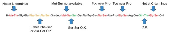 Designing a synthesis with secondary amino-acid surrogates. General guidelines for the use of secondary amino acid surrogates Designing a synthesis with secondary amino-acid
