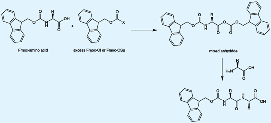 Purer Fmocs Means Purer Peptides The impurities present in Fmoc-amino acids are predictable and mainly arise