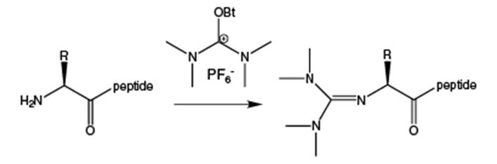 Guanidinylation occasionnée par des réactifs de couplage du type uronium. Guanidinylation occasionnée par des réactifs de couplage du type uronium.