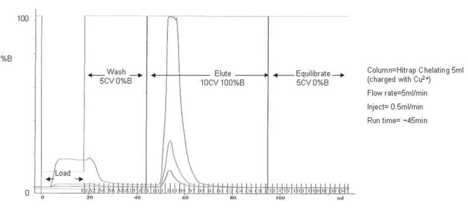 imac-purification-trac-ge-akta A typical IMAC purification trace obtained using a GE Akta Explorer purification system.
