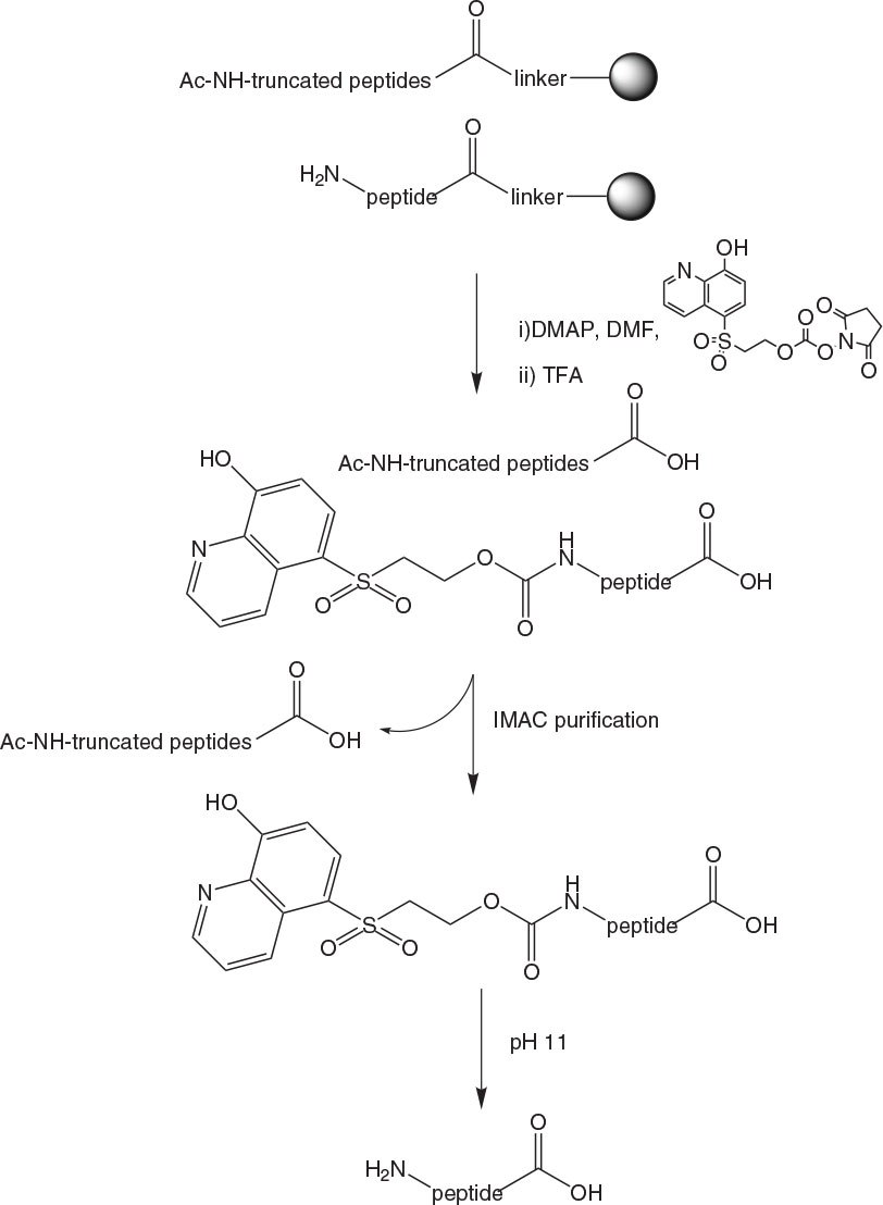 imac-purification-trace IMAC purification of peptides