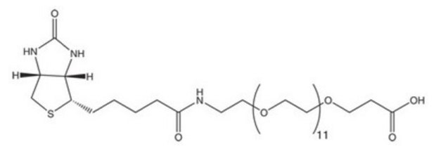 Black-and-white structure of N-Biotinyl-NH-PEG11-COOH showing bicyclic biotin core linked to an 11-unit PEG chain ending with a carboxylic acid group.