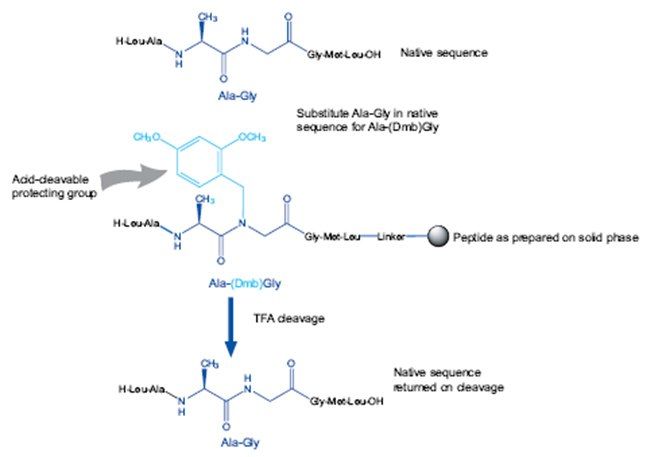Principles of using Dmb dipeptides Principles of using Dmb dipeptides