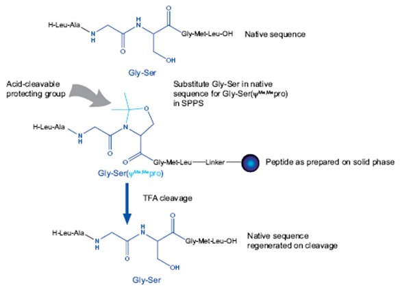 Relationship between peptide sequence and pseudoproline dipeptide Relationship between peptide sequence and pseudoproline dipeptide