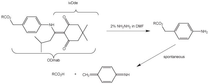 removal-of-dmab A chemical reaction diagram showing the conversion of a compound using 2% hydrazine in DMF to form an amine product.
