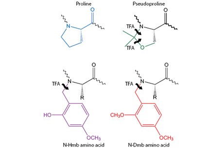Secondary structure disrupting N-alkyl amino acids. Secondary structure disrupting N-alkyl amino acids.