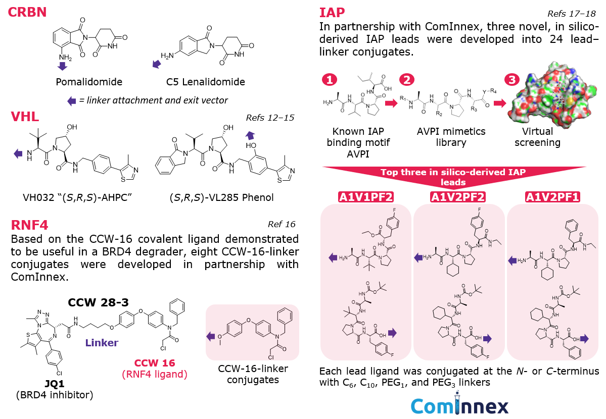E3 Ligase ligands featured in conjugates E3 Ligase ligands featured in conjugates