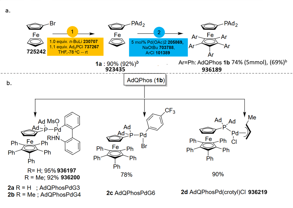 A two-part synthetic scheme outlining the preparation of the bulky ligand AdQPhos and its palladium precatalysts. In part (a), the synthesis of AdQPhos is illustrated in two steps. The starting material, a ferrocene derivative bearing a bromine substituent, reacts with n-butyllithium and a phosphine chloride reagent to form an intermediate compound labeled 1a with a phosphine-adamantyl substituent. This step proceeds with 90% yield, noted in parentheses as 92%. In the second step, this intermediate is reacted in the presence of palladium acetate, sodium tert-butoxide, and an aryl chloride to produce AdQPhos, labeled 1b, in 82% yield (78% isolated yield), where the aryl groups are phenyl substituents. Each reagent and intermediate is identified by product numbers. Part (b) shows the derivatization of AdQPhos into a series of palladium precatalysts. AdQPhos is shown at the top center with arrows pointing to four distinct complexes. The first complex, labeled 2a and 2b, incorporates a sulfonamide biphenyl ligand coordinated to Pd with AdQPhos; 2a has a hydrogen substituent and 2b has a methyl group, with yields of 95% and 92%, respectively. The second structure, labeled 2c, is a Pd complex with a trifluoromethylated aryl bromide ligand, formed in 78% yield. The third structure, 2d, is an allyl-type complex, AdQPhosPd(crotyl)Cl, formed in 90% yield. All structures share a ferrocene backbone with phenyl-substituted rings and are ligated to palladium through the AdQPhos ligand, which contains bulky adamantyl substituents on the phosphorus center.