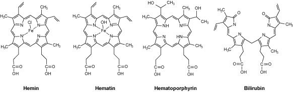 A diagram illustrating the structure of human hemoglobin, specifically chemical structures of Hemin, Hematin, Hematoporphyrin, and Bilirubin A diagram illustrating the structure of human hemoglobin, specifically chemical structures of Hemin, Hematin, Hematoporphyrin, and Bilirubin