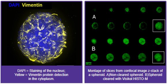 Visikol® HISTO™ and HISTO-M™ Tissue Clearing Reagents