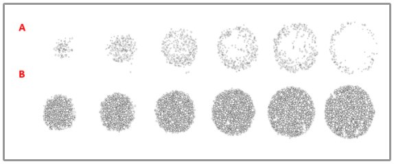 Visikol® HISTO™ and HISTO-M™ Tissue Clearing Reagents