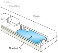 Absorbent pad for lateral flow. Figure 4 shows absorbent pads, when used, are placed at the distal end of the test strip