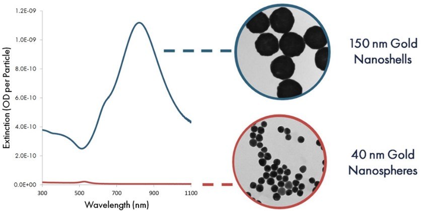 Per particle optical extinction (optical density per particle) as a function of wavelength for 40 nm gold nanospheres and 150 gold nanoshells. Per particle optical extinction