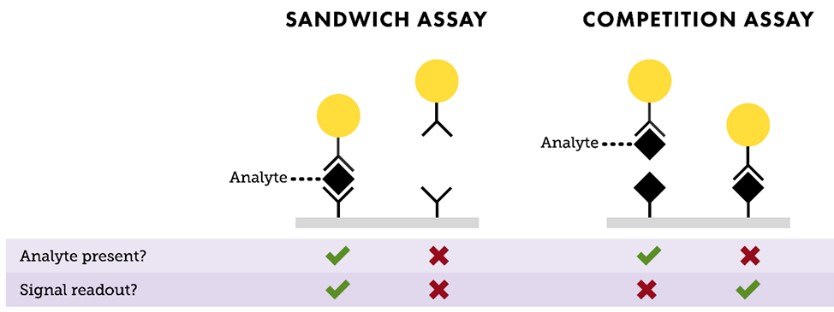 Depiction of “Sandwich” and “Competition” assay formats. In a sandwich assay, a positive signal indicates the presence of analyte and the test line intensity is proportional to the amount of analyte available in the sample. For a competition assay, a strong signal on the test line means little or no analyte is present. This signal intensity is inversely proportional to the analyte concentration. Depiction of “Sandwich” and “Competition” assay formats