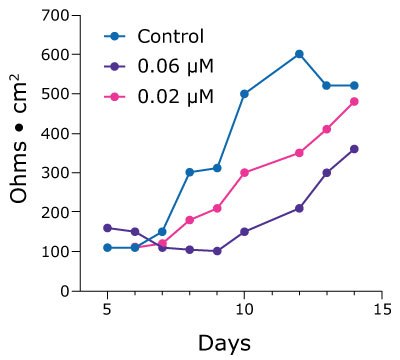 Dose dependent graph of afatinib-treated Duo-87 organoids.