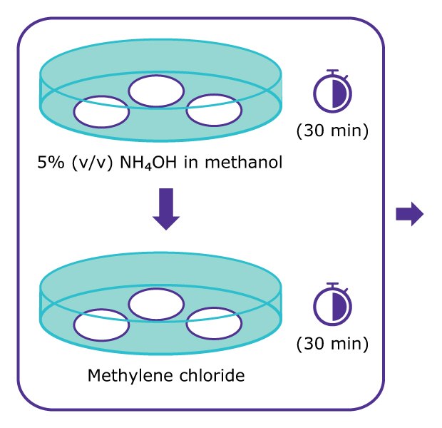 Cleaning method used for air monitoring of PFAS using OTM-45 Diagrama de la secuencia de trabajo que muestra la limpieza de filtros por remojo de los filtros en hidróxido de amonio al 5 % volumen por volumen en metanol durante 30 minutos, seguido de remojo de los filtros en cloruro de metileno durante 30 minutos.