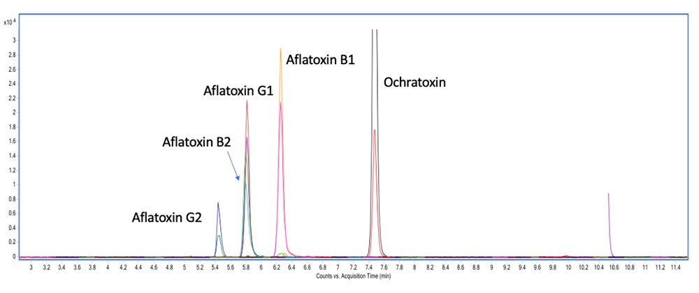 Chromatogram of Mycotoxin A chromatogram showing the analysis of five mycotoxins under identical chromatographic conditions. The x-axis, labeled “Counts vs. Retention Time (min),” ranges from 0 to 12 minutes, while the y-axis, labeled “Intensity,” ranges from 0 to 2.5e7. Distinct peaks are labeled for Aflatoxin B1, G1, B2, G2, and Ochratoxin. The concentrations are 100 pg/µL for Aflatoxin B1 and G1, 30 pg/µL for Aflatoxin B2 and G2, and 500 pg/µL for Ochratoxin in a solvent mixture of acetonitrile and water (70/30 v/v).